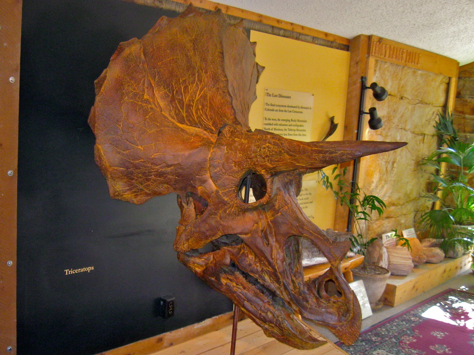 A Dinosaur Highway Through Morrison, Colorado