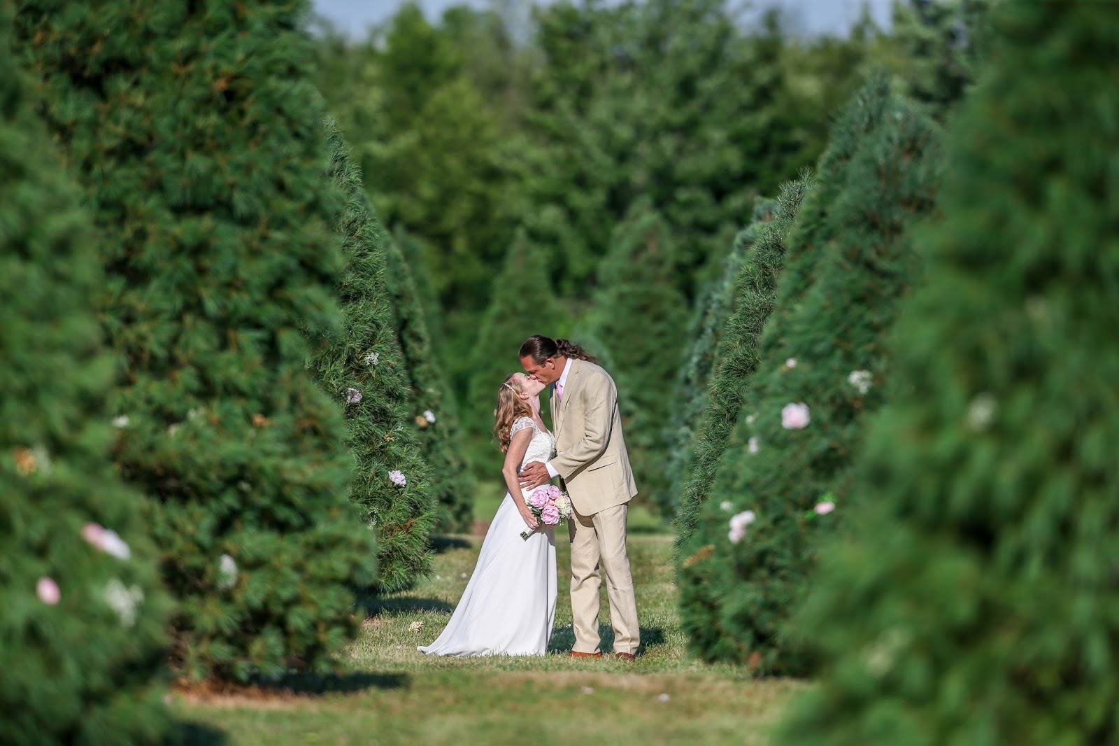 Christmas Trees Medina County Ohio 2016 Christmas Tree Season Medina Ohio