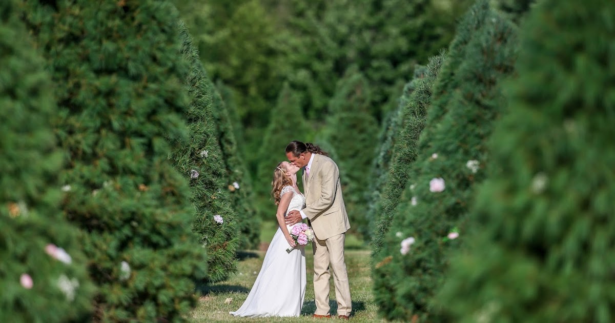 Christmas Trees Medina County Ohio 2016 Christmas Tree Season Medina Ohio