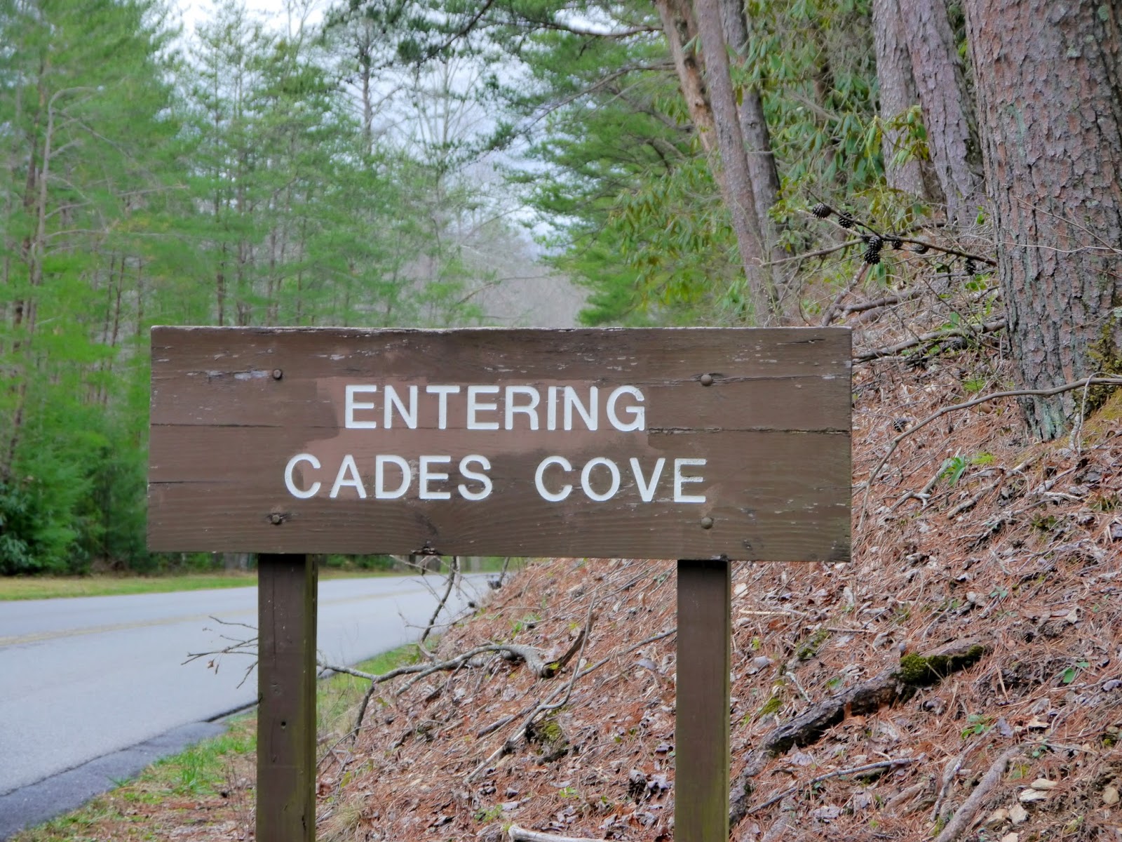 American Travel Journal Cades Cove Great Smoky Mountains National Park