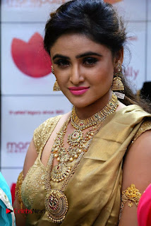 Sony Charishta Stills in Golden Saree at Manepally Jewellers Exclusive Dhanteras Collection Launch