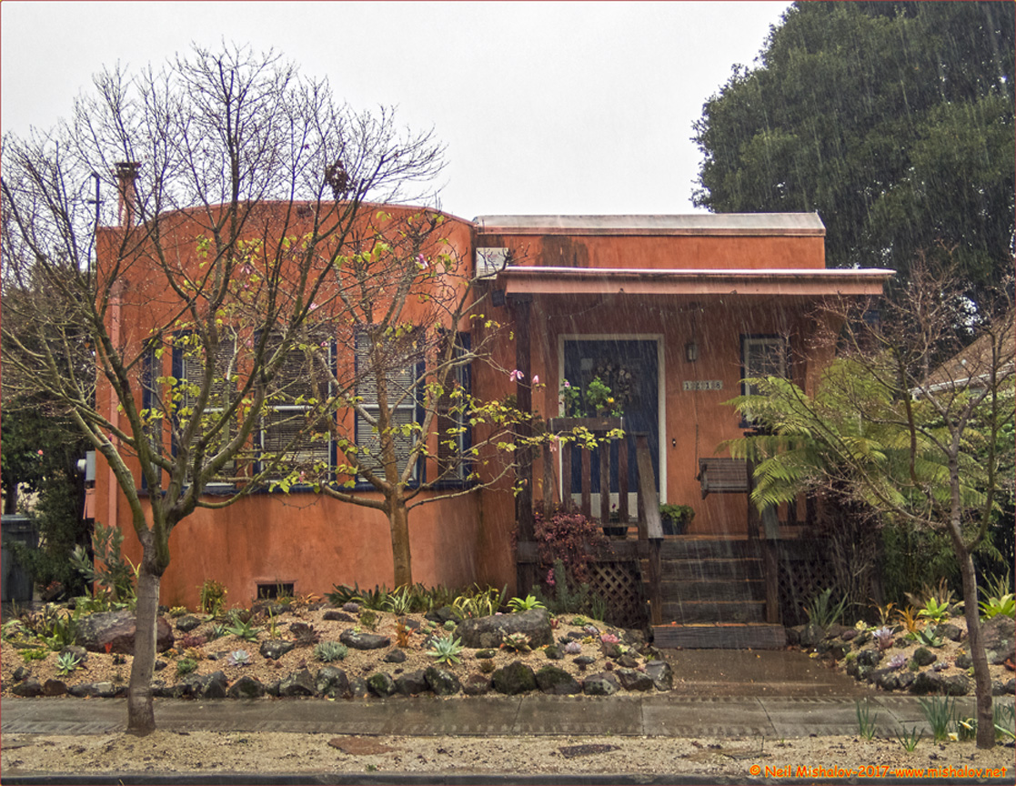San Francisco Bay Area Photo Blog Rainy day photos of Berkeley, California 8 & 9 February 2017