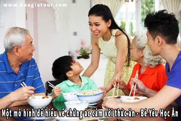 Cách cha mẹ dùng mô hình này để hiểu được trẻ kén ăn Cách cha mẹ dùng mô hình này để hiểu được trẻ kén ăn