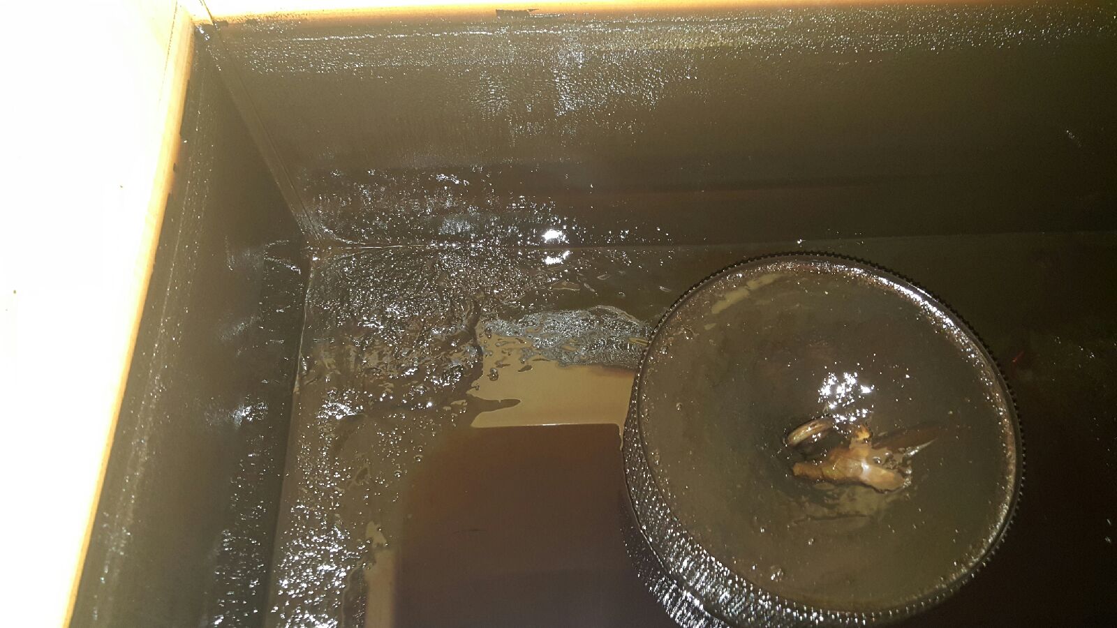 Chicago Elevator Maintenance Colley Elevator Cleaning elevator