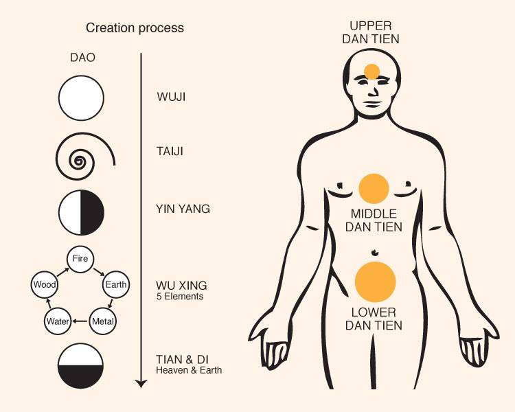 Меридиан тонкой кишки. Купить книгу у цзянхун основы мягкого цигун. Ци ци в полный рост сзади. Цигун точка даньтянь. Е 30 ци чун точка.