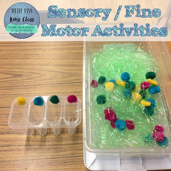 Little Miss Kim's Class Sensory/ Fine Motor Activities