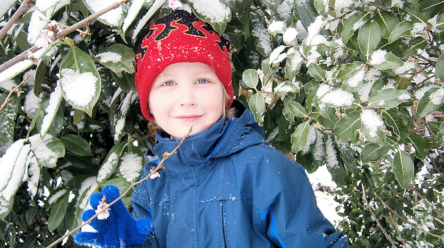 great snow photo with trees and boy