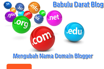 Cara Mengubah Domain Blogspot Menjadi COM NET ORG DLL - Babulu Darat