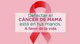 <Img src ="Emblema de lucha contra el cáncer de mama.jpg" width = "462" height "320" border = "0" alt = "Foto del emblema del cáncer de mama.">
