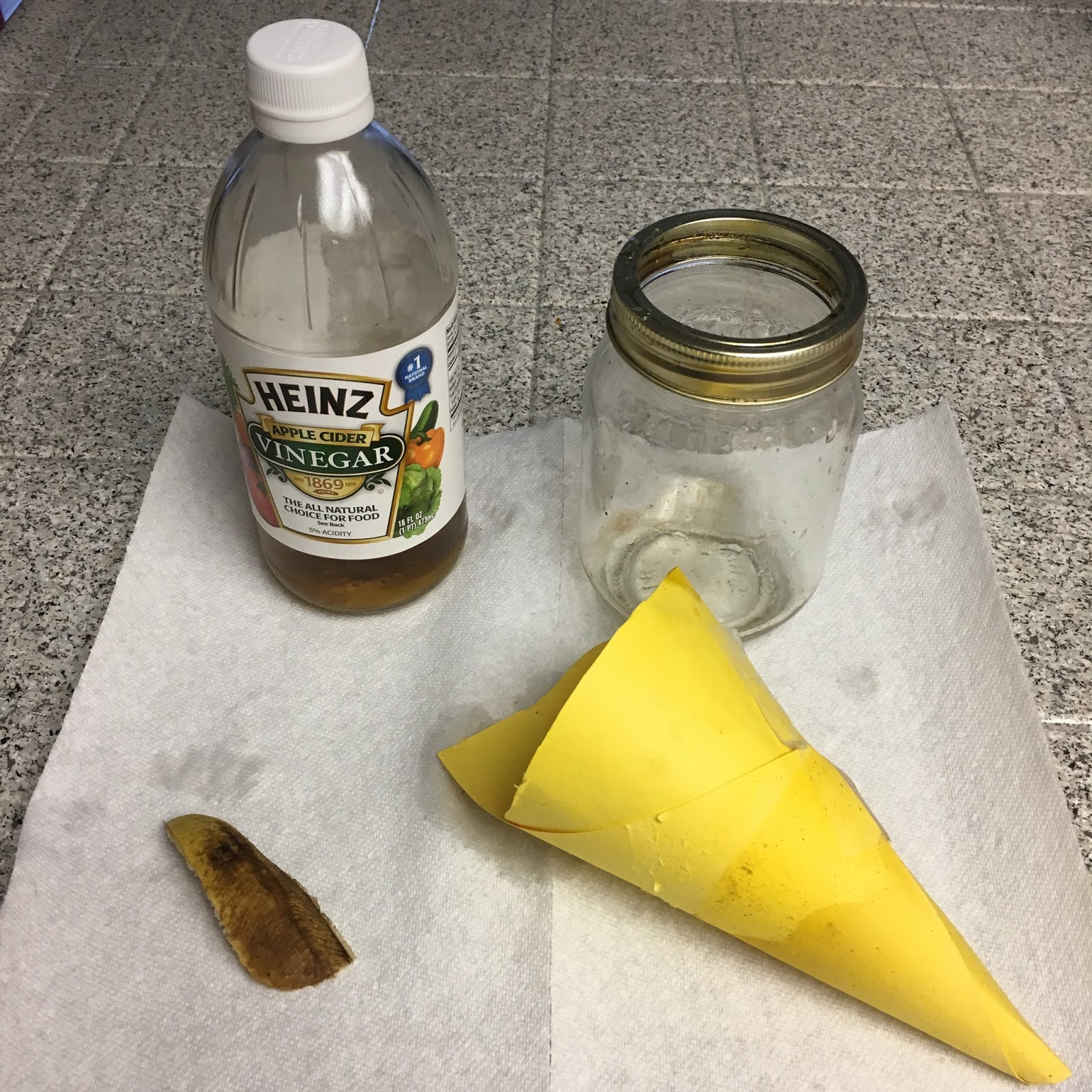 Carolina Meets Cali: DIY: Gnat Trap