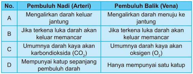 Perbedaan Pembuluh Nadi Dan Pembuluh Balik Berbagai Perbedaan