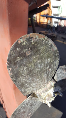 Damage to prop blade.