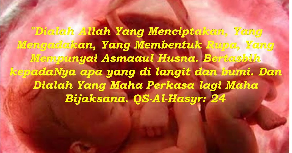 Kumpulan Kata Mutiara Untuk Calon Bayi Dalam Kandungan Lengkap Eja Kata