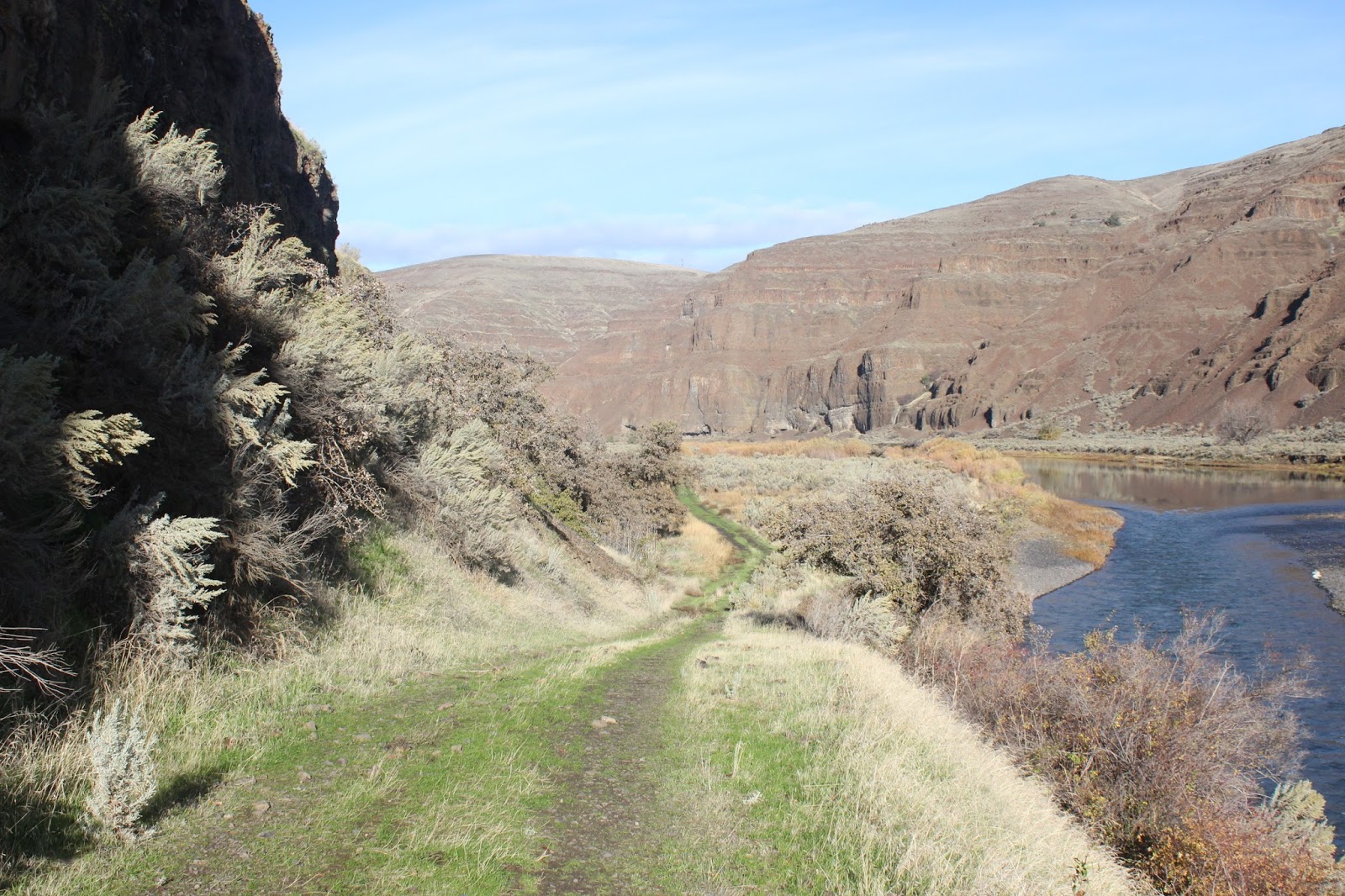 Out and About Oregon Birds Cottonwood Canyon State Park