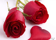 Red Roses Pictures (red roses )