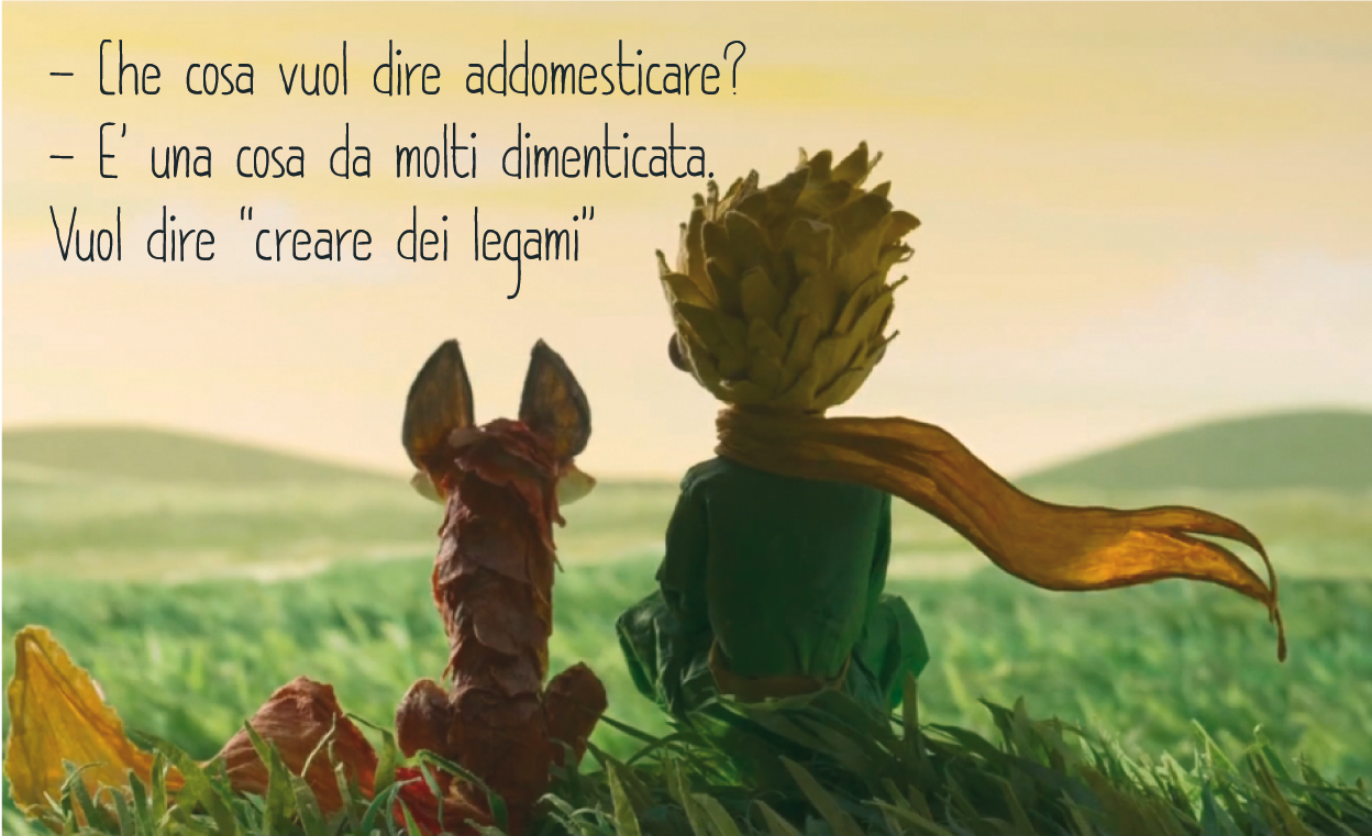 Il Colore Del Grano Piccolo Principe