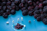 Fruit drying in case of emergency