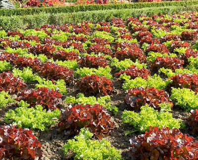 Gartendeko-Blog: Februar 2013