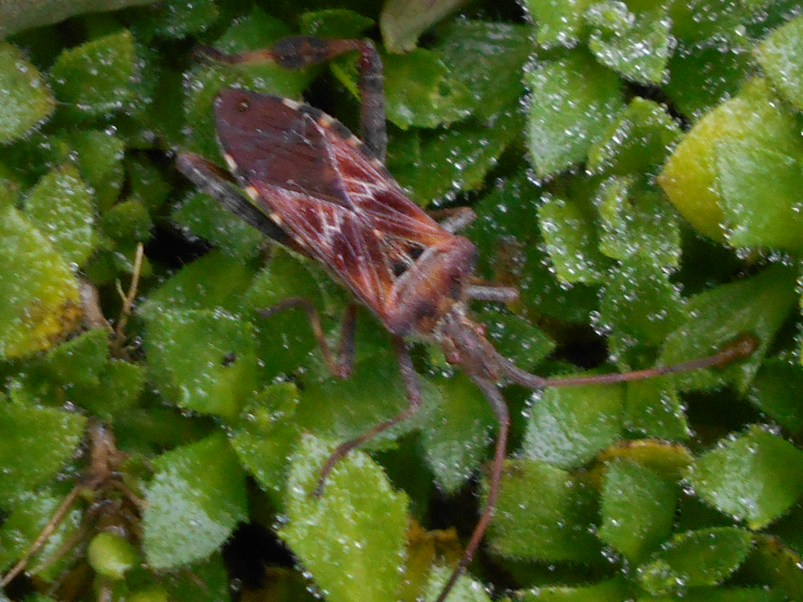 Tony's Blog No place like home