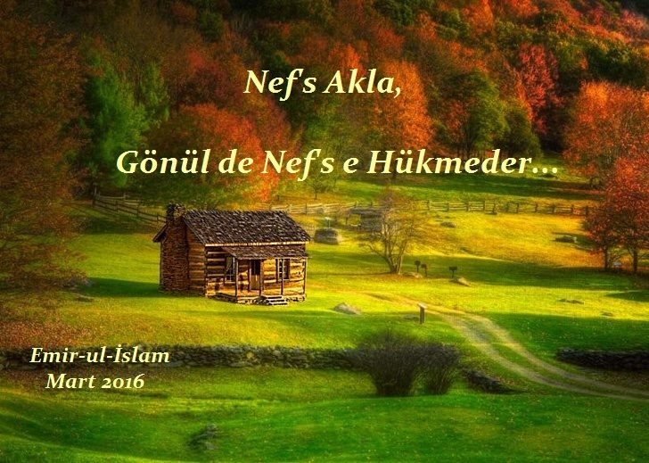 Mucizeler Güzel Manevi Sözler