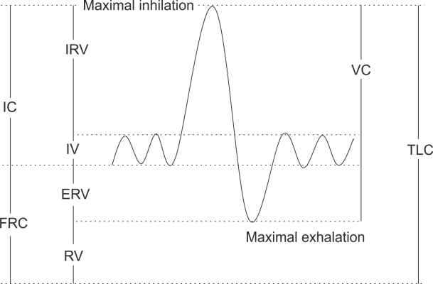 lung volumes