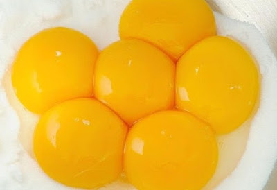 Manfaat dan Bahaya Kuning Telur Bagi Kesehatan