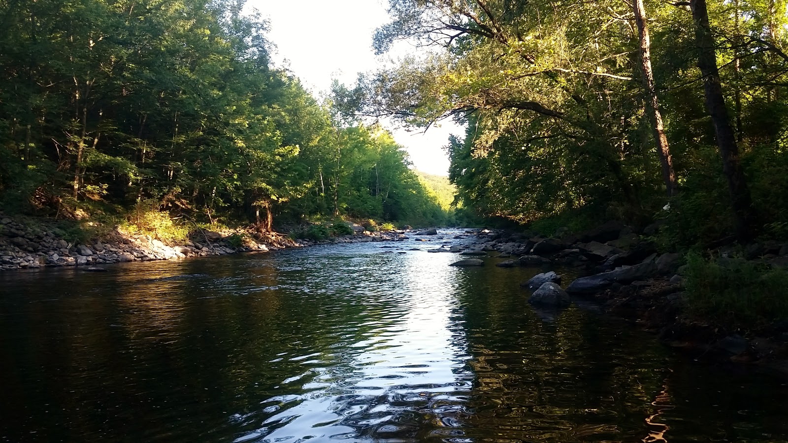 Sick Days Fishing August 2, 2015 Brodhead Creek Early Morning