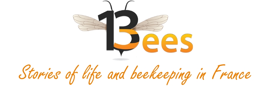 13 Bees Blog