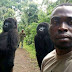 Gorillas pose for amzing selfie with anti-poaching officers 