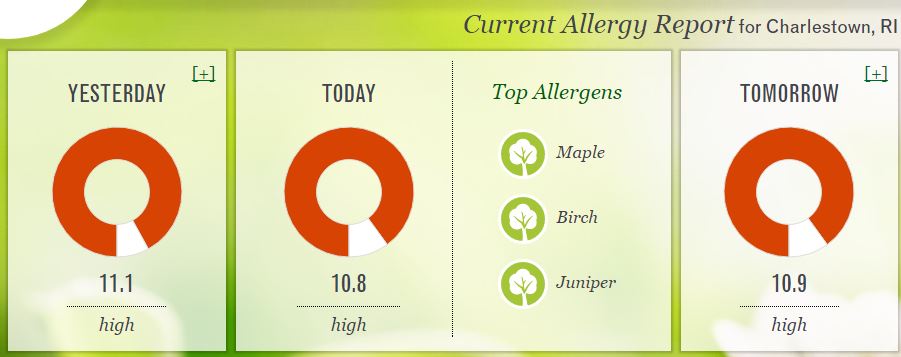 Arsenal 2024 home kit