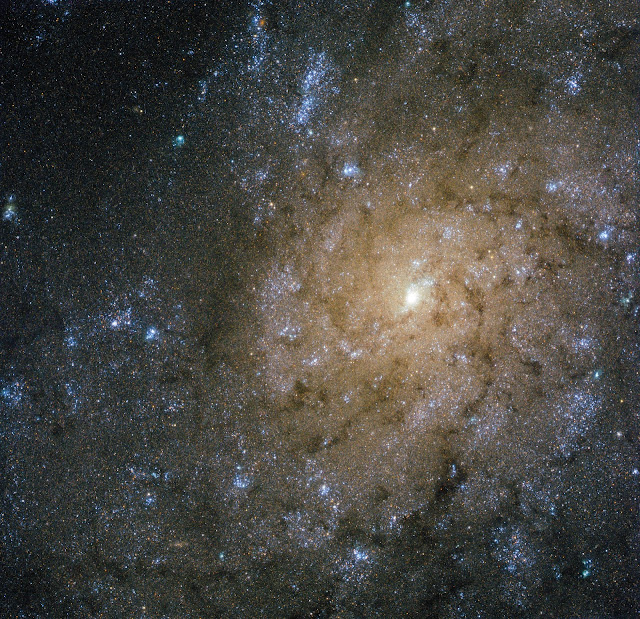 Spiral Galaxy NGC 7793