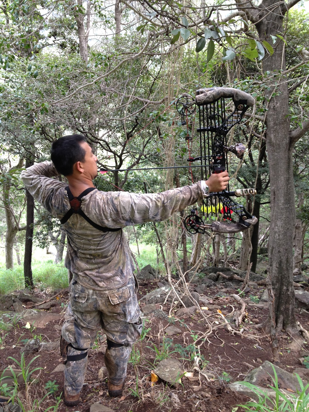 Makua Kea'au Forest Reserve