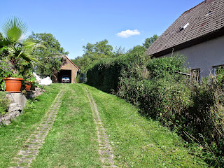 Südhecke mit Durchblickskahlstellen (by) Joachim Wenk Südhecke mit Durchblickskahlstellen (by) Joachim Wenk