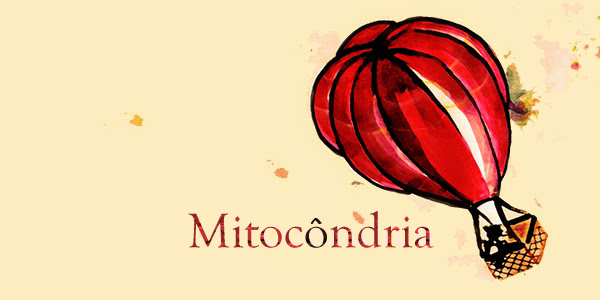 Mitocôndria