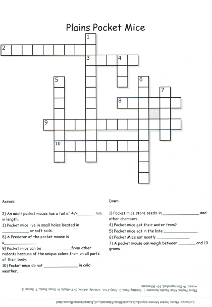 Fun In Great Salt Lake s Sun Plains Pocket Mice Crossword