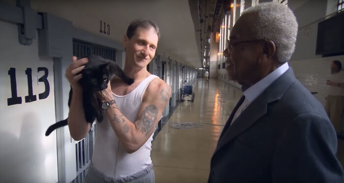 Prison In Indiana Allows Inmates To Take Care Of Shelter Cats