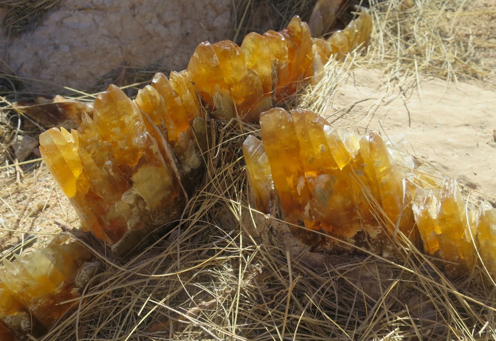 Rambling Hemlock Lake Lucero in White Sands National Monument