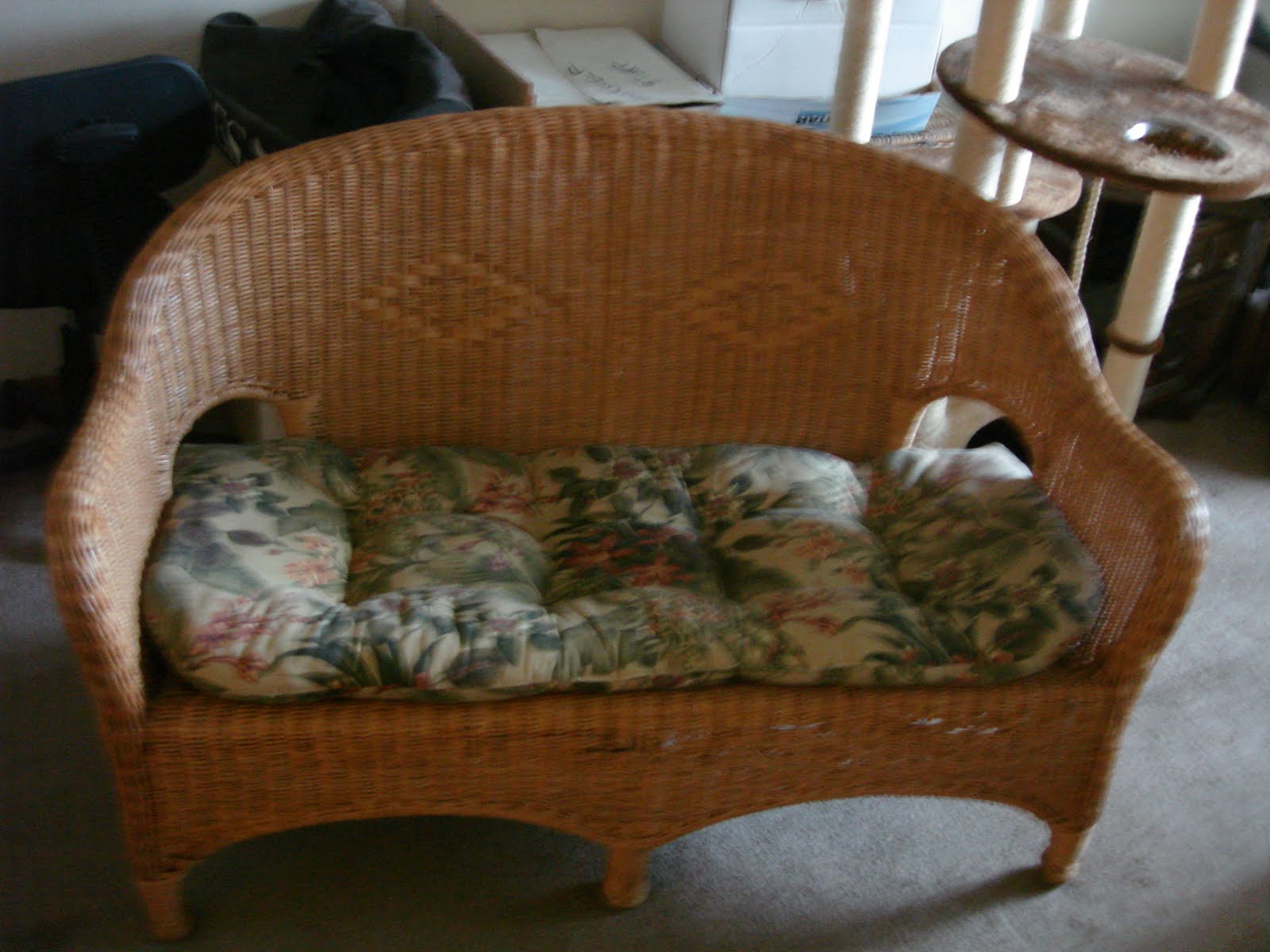 JT IRREGULARS My New (Used) Wicker Furniture