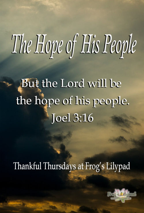 Frog's Lilypad: God is The Hope of His People