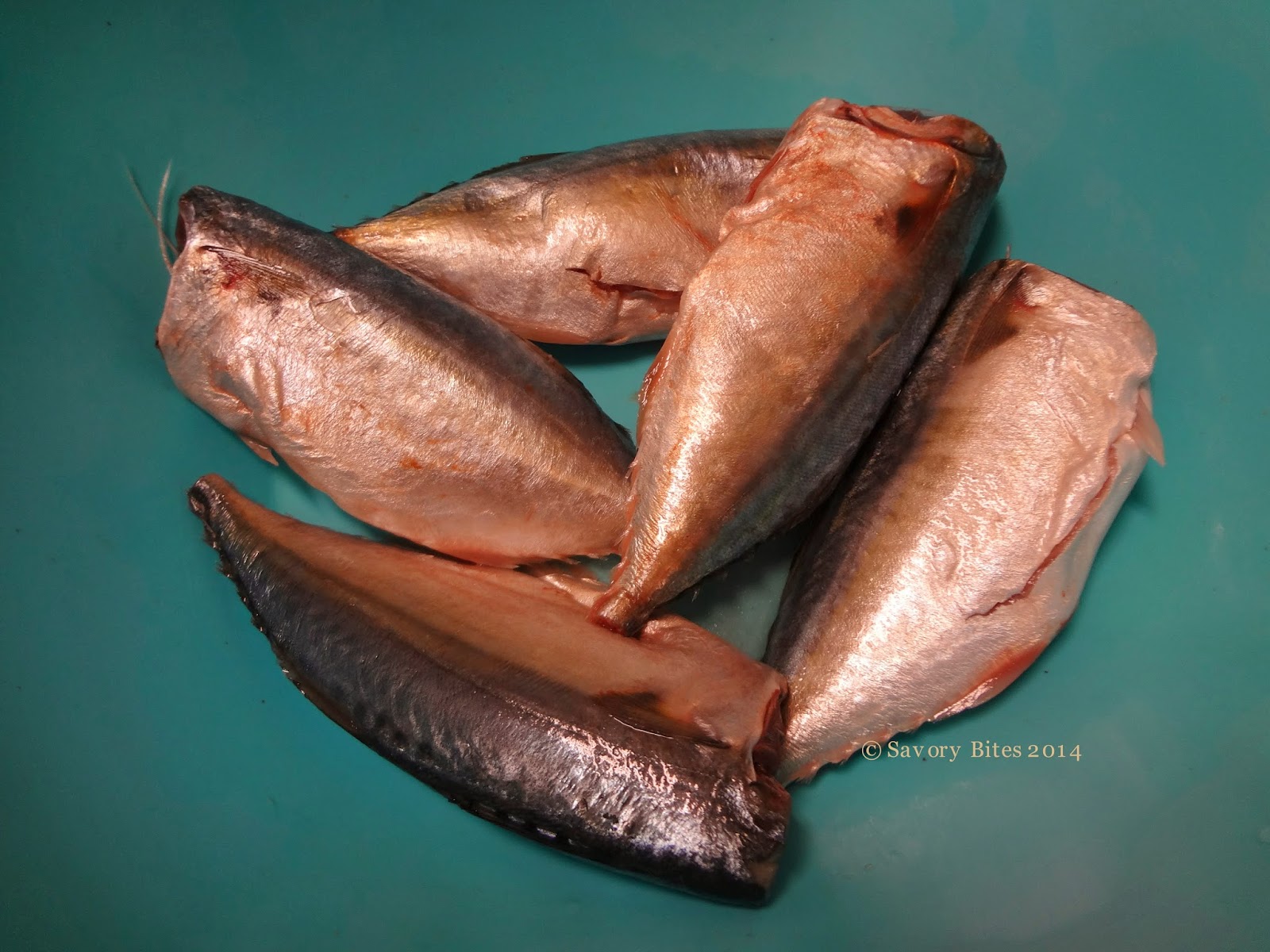 Creative World How to fillet Mackerel