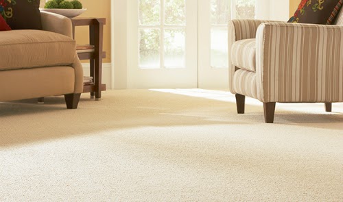 STAINMASTER® Carpet: Beauty and Functionality 