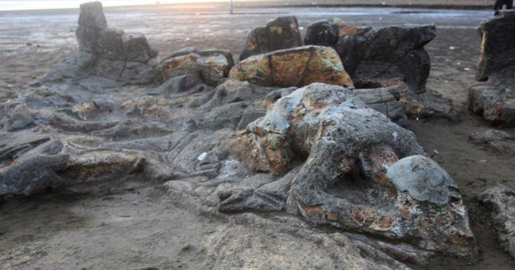 Story Telling Cerita Rakyat Malin Kundang Durasi Pendek Pendidikan Tugas Sekolah