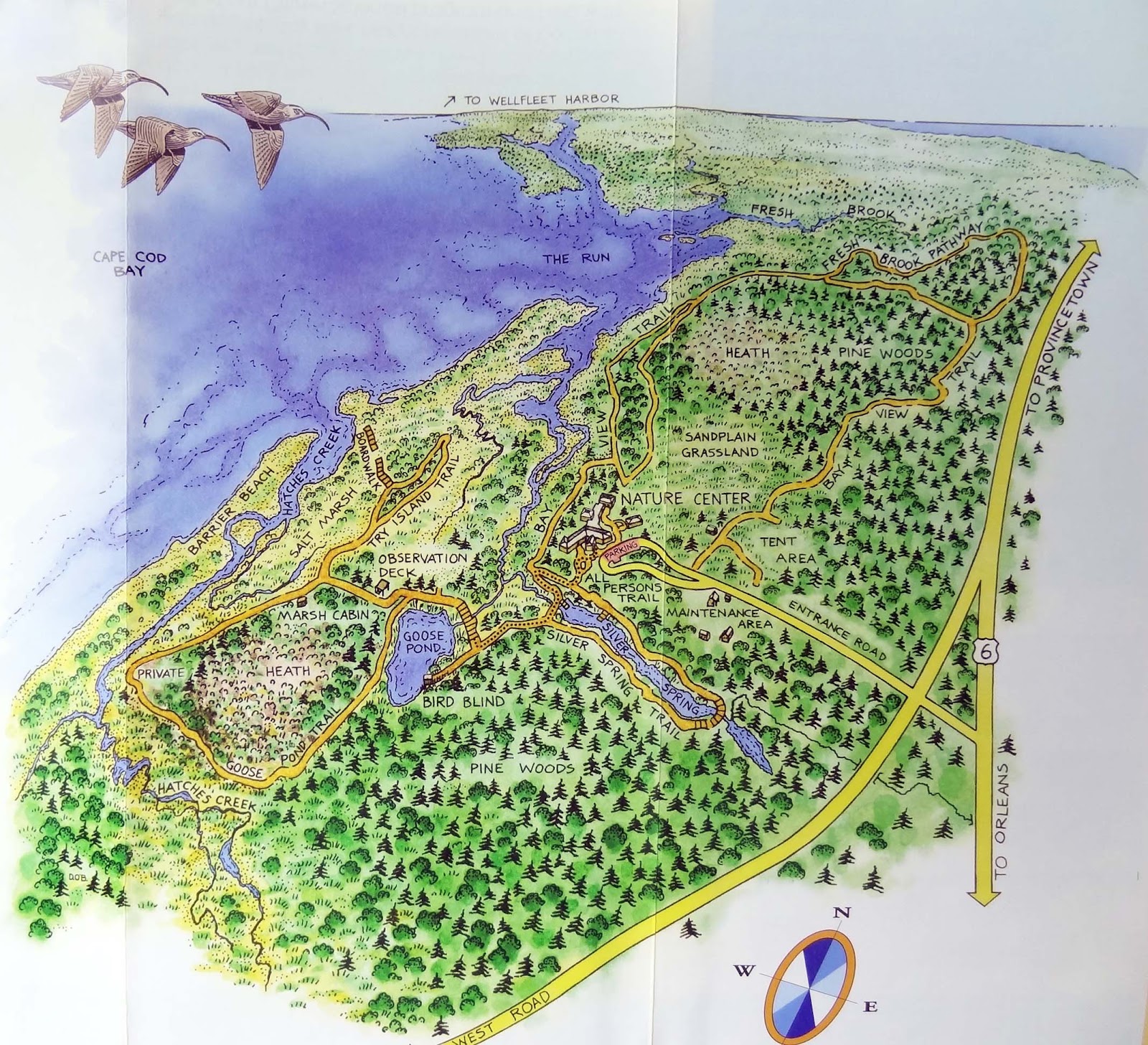 Joe's Retirement Blog Massachusetts Audubon Wellfleet Bay Wildlife