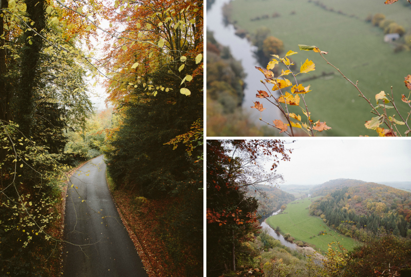Autumnal Forest Adventures - Symonds Yat