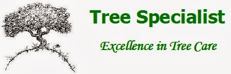 Willem Avenant Tree Specialist