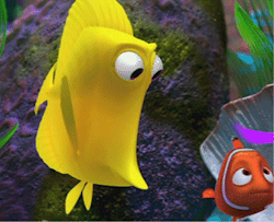 bubbles nemo finding fish yellow pixar disney cartoon network walt