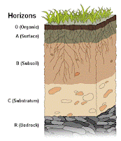 By Wilsonbiggs - derived work from File:SOIL PROFILE.png by Hridith Sudev Nambiar at English Wikipedia., CC BY-SA 4.0, https://commons.wikimedia.org/w/index.php?curid=46207693