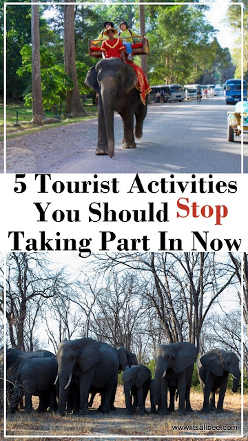 5 Tourist Activities You Should Stop Taking Part In Now