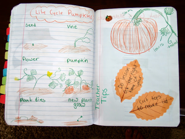 pumpkin activity for interactive notebook