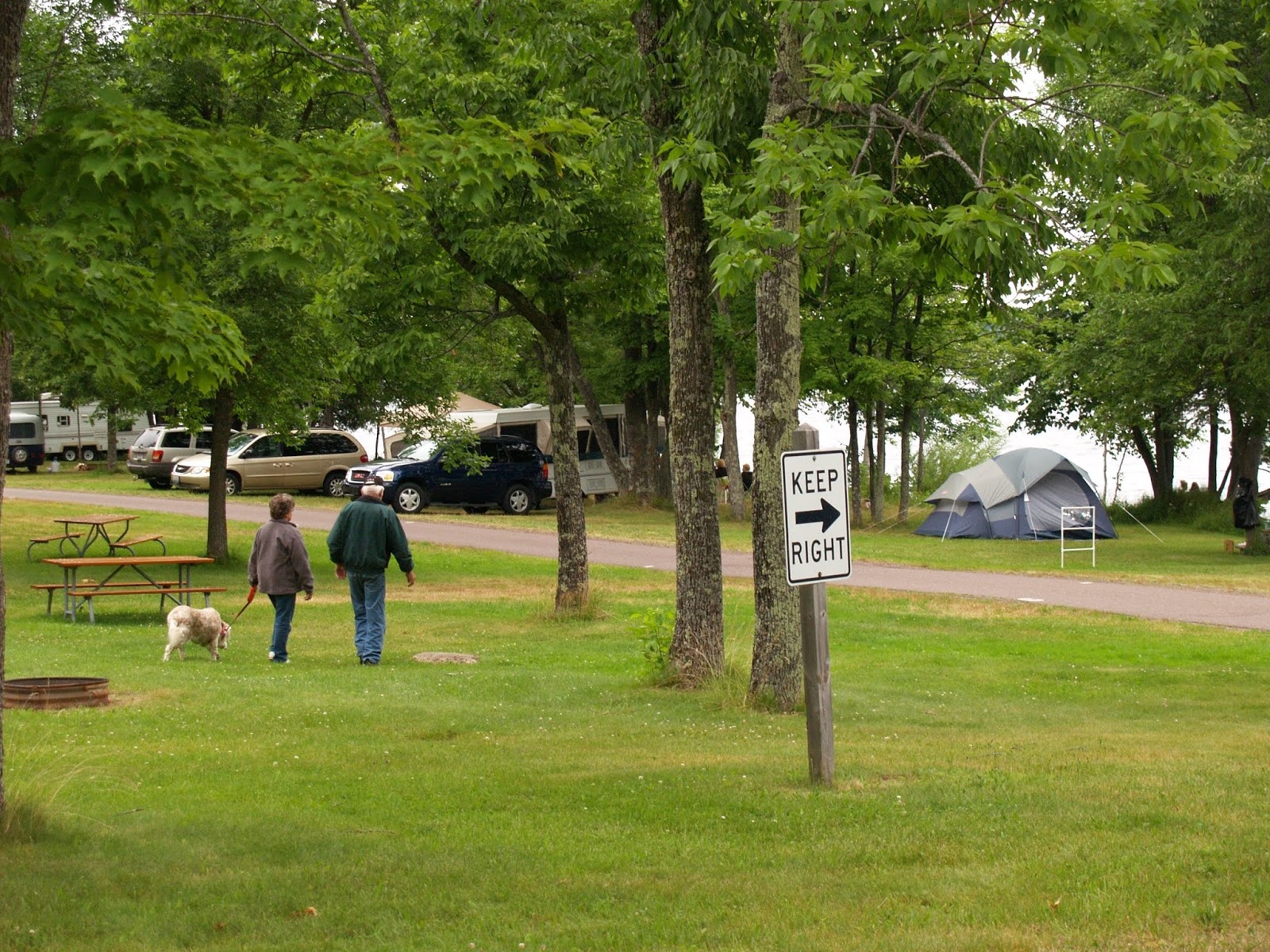 Paws in the Parks Bringing Dogs to Michigan State Parks The Voice